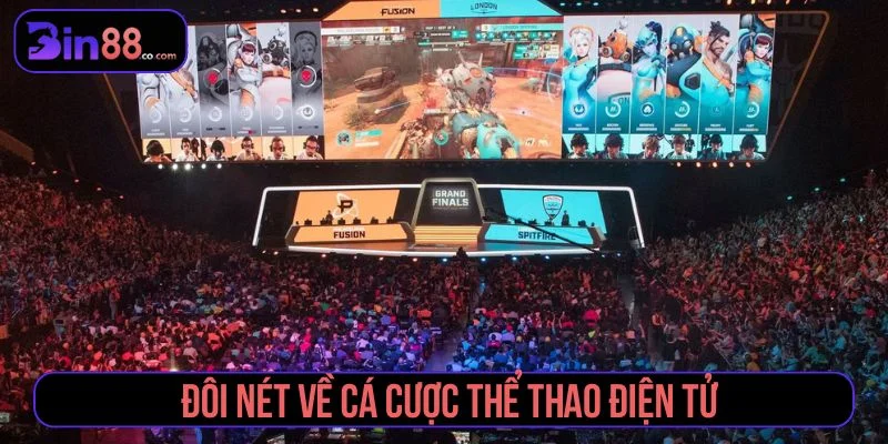 Trải nghiệm thật khi cá cược thể thao điện tử online Giới thiệu hình thức cá cược thể thao điện tử