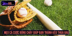 cá cược bóng chày