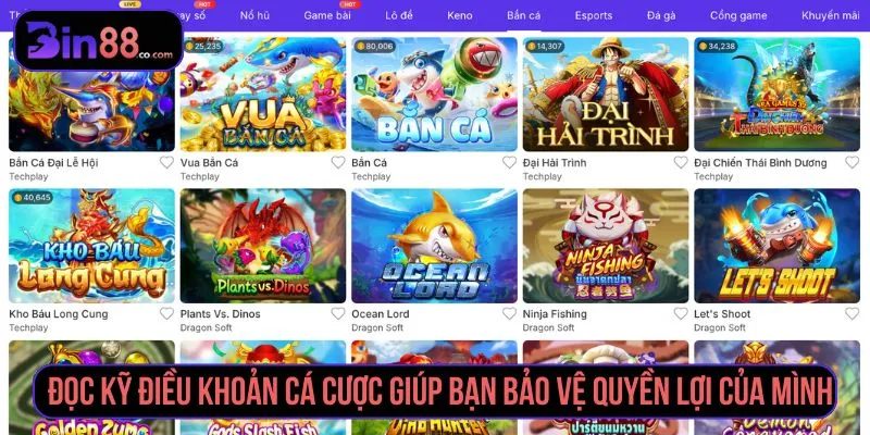 Đọc kỹ điều khoản cá cược giúp bạn bảo vệ quyền lợi của mình