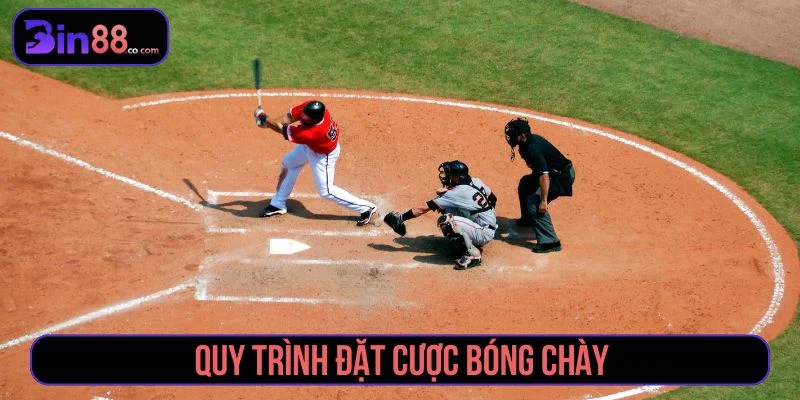Quy trình cá cược bóng chày minh bạch