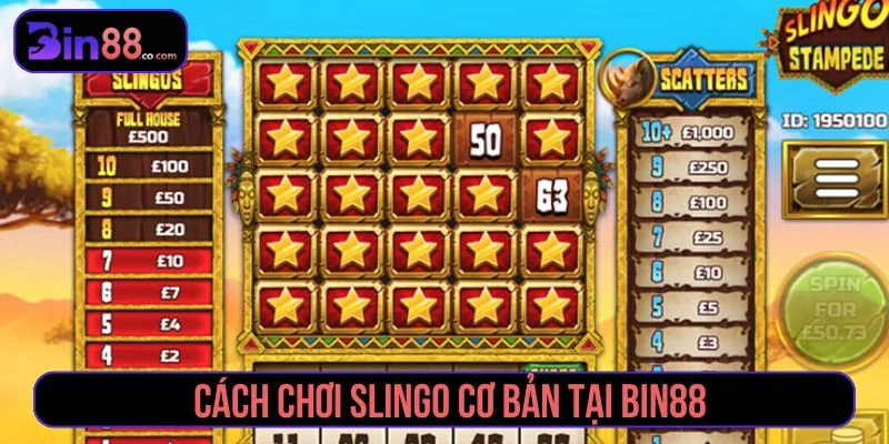 Tham khảo cách chơi Slingo hiệu quả