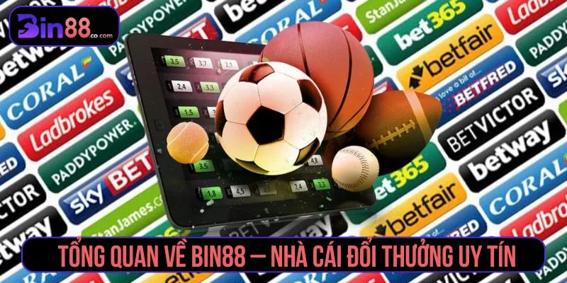 Thông tin về nhà cái Bin88