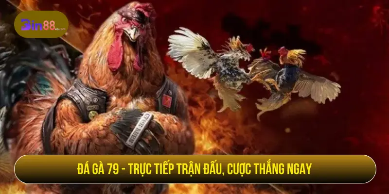 Đá Gà 79 – Trực Tiếp Trận Đấu, Cược Thắng Ngay Đá gà 79 - Trực tiếp trận đấu, cược thắng ngay