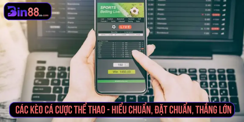 Các Kèo Cá Cược Thể Thao Đặt Chuẩn Nhận Tiền Thưởng Lớn Các kèo cá cược thể thao - Hiểu chuẩn, đặt chuẩn, thắng lớn
