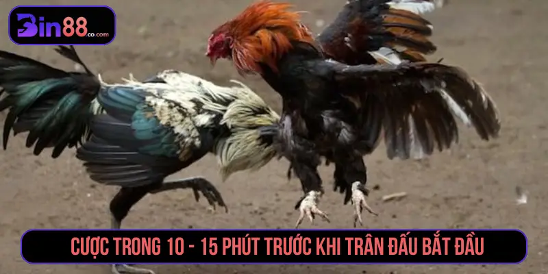 Cược trong 10 -15 phút trước khi trận đấu bắt đầu