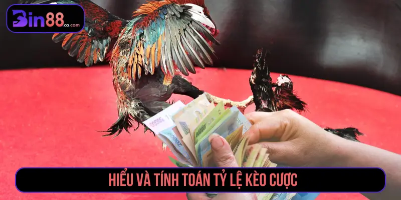 Hiểu và tính toán tỷ lệ kèo cược